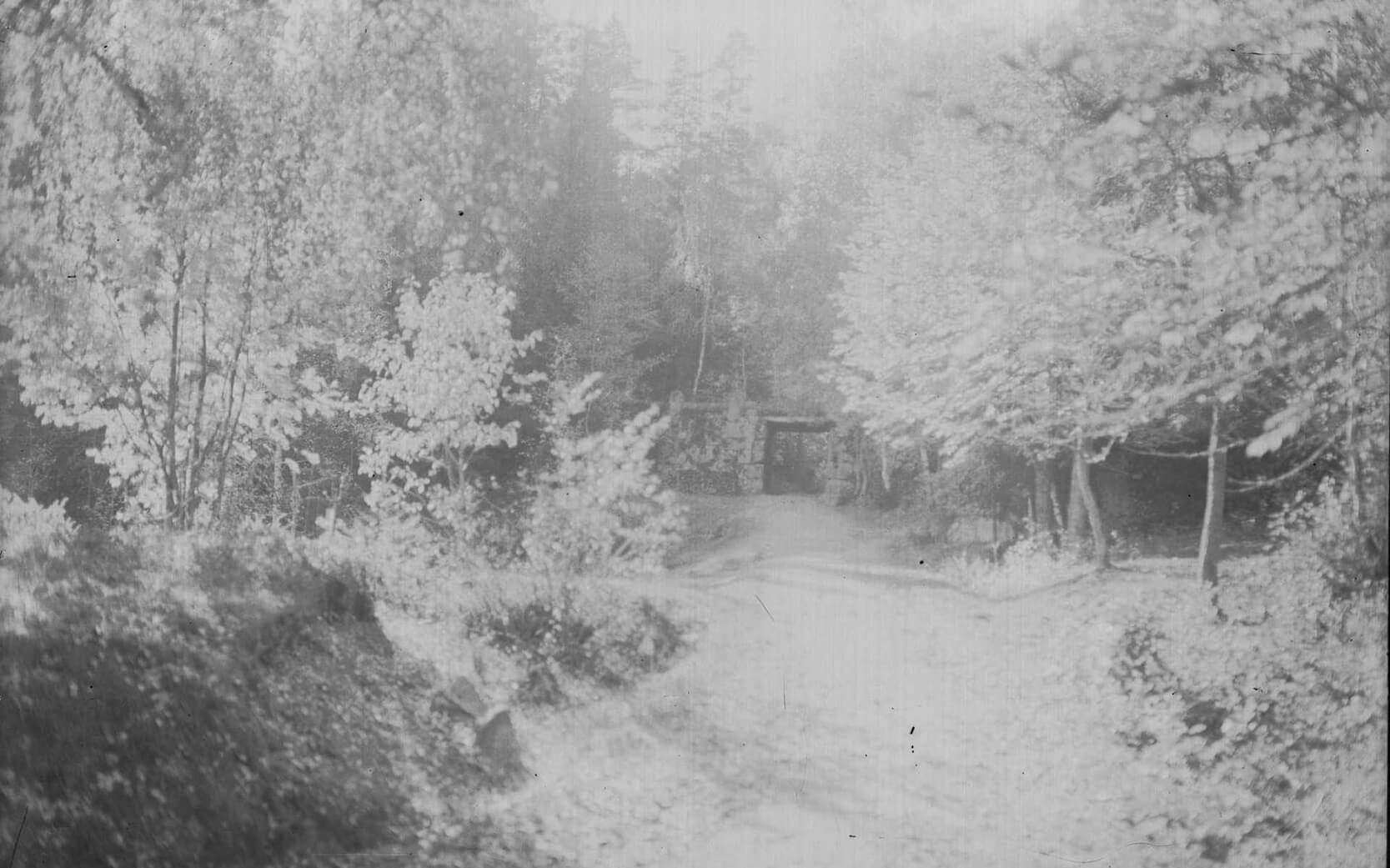 Stien til jaktslottet Sarabråten i Østmarka, fotografert i sorthvitt. Bildet skaper en stemning av den tidlige friluftsbevegelsen som ble populær på slutten av 1800-tallet